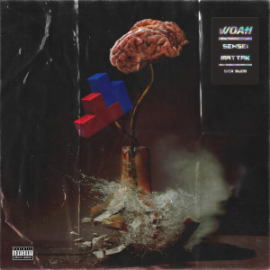 ดาวน์โหลดและฟังเพลง Woah (Explicit) พร้อมเนื้อเพลงจาก Sensei