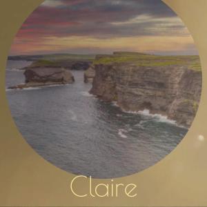 Listen to Herding Toper song with lyrics from Orrett Coos