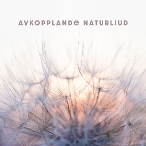 Listen to Själv djup hypnos song with lyrics from Avkopplingszon