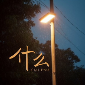 Listen to 什么 (伴奏) song with lyrics from Lil.Fred