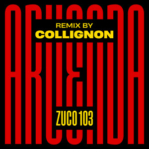 Listen to Aruenda (COLLIGNON Remix) song with lyrics from Zuco 103