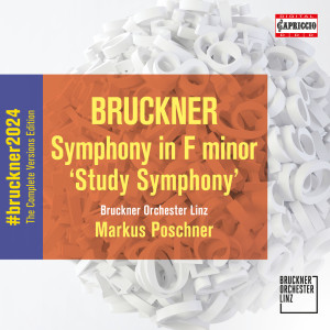 ดาวน์โหลดและฟังเพลง Anton Bruckner: Symphony in F minor 'Study' - II. Andante molto (HD 96/24) พร้อมเนื้อเพลงจาก Bruckner Orchester Linz
