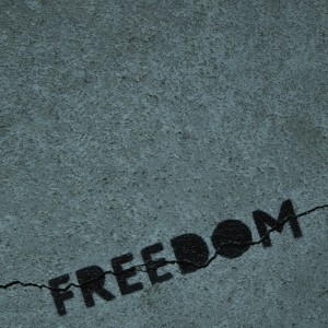 Listen to Freedom (Explicit) song with lyrics from Miyagi