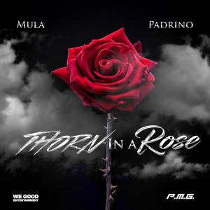 Listen to Thorn in a Rose song with lyrics from Mula