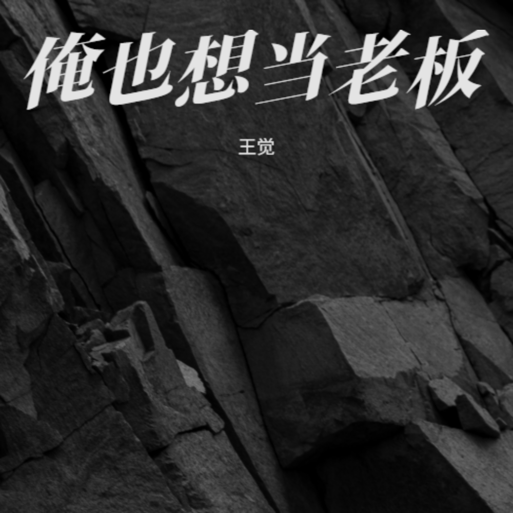 俺也想当老板 (完整版)