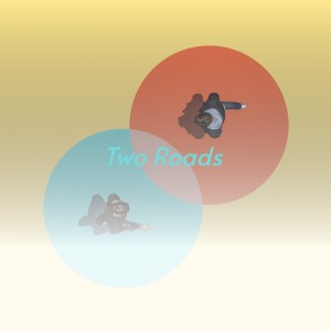 Album Two Roads from Various