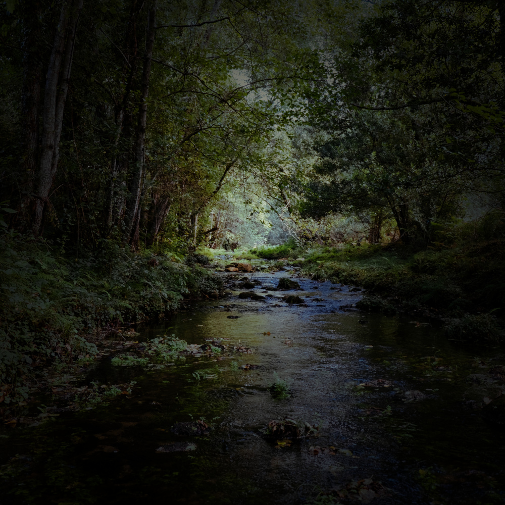 Relaxing Rapids for Sleep