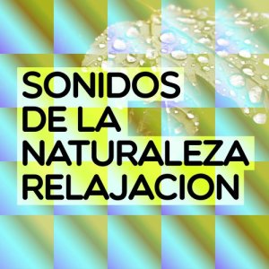 收聽Sonidos de la naturaleza Relajacion的Bird Sounds歌詞歌曲