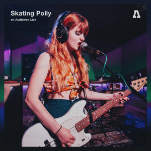 Listen to They're Cheap (I'm Free) (Audiotree Live Version) song with lyrics from Skating Polly