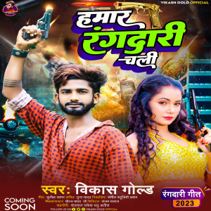 Listen to Hamar Rangdari Chali (Bhojpuri Song) song with lyrics from Vikash Gold
