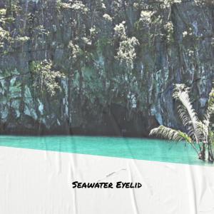 อัลบัม Seawater Eyelid ศิลปิน Various