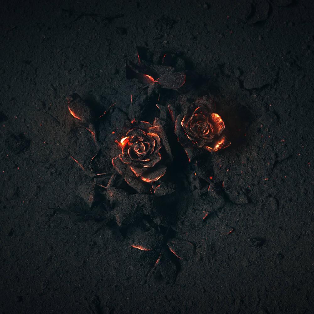 Light (feat. Cali G. Season) (Explicit)