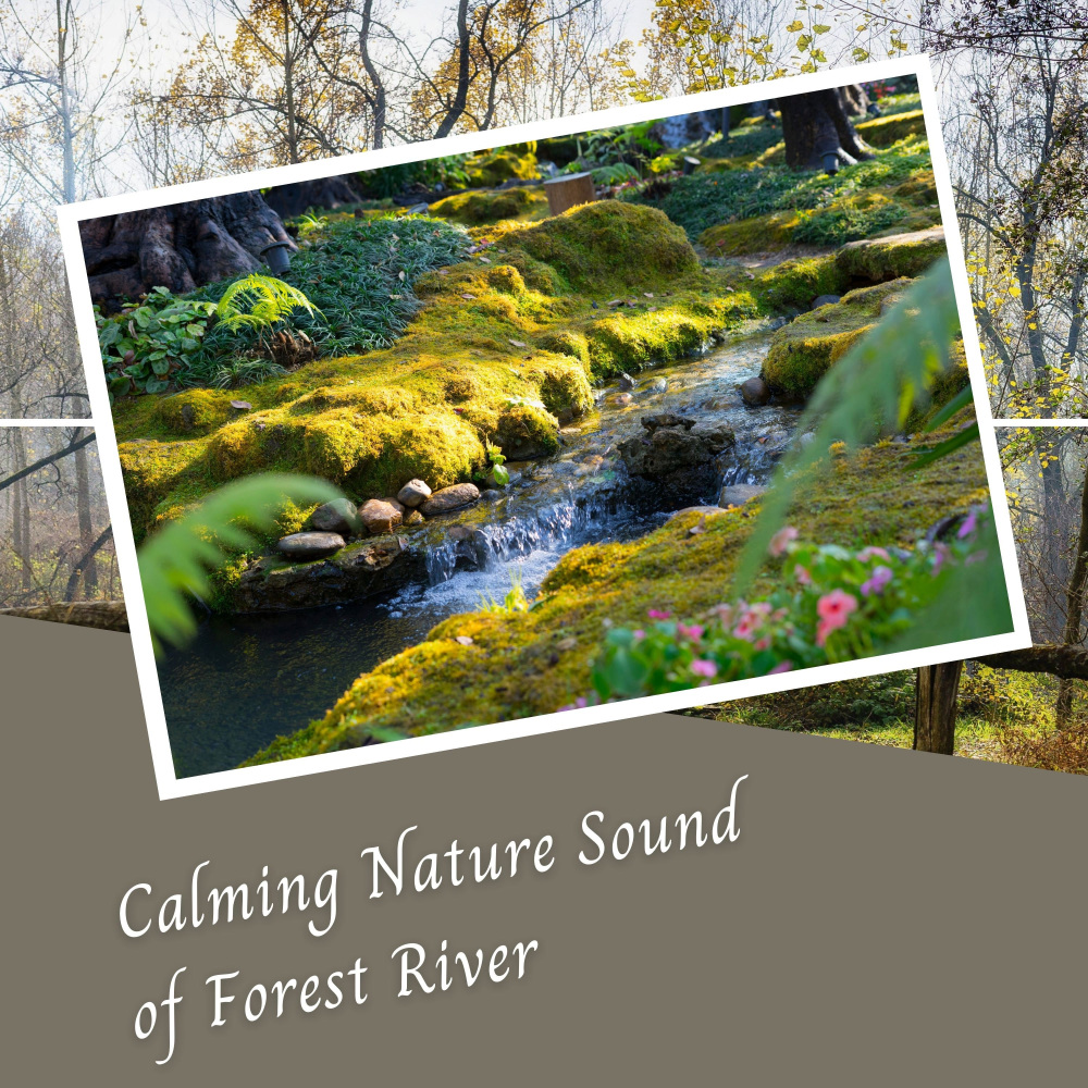 Calming Nature Sound of Forest River - 3 Hours