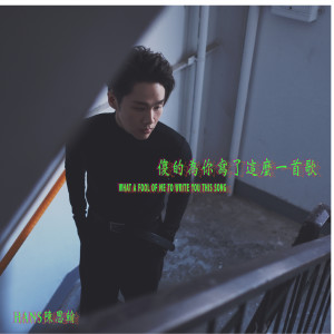 Listen to 傻的為你寫了這麼一首歌 song with lyrics from Hans陈思翰
