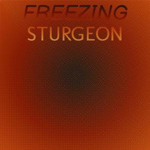 Various Artists的专辑Freezing Sturgeon