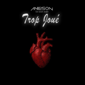 DJ Anilson的專輯TROP JOUÉ