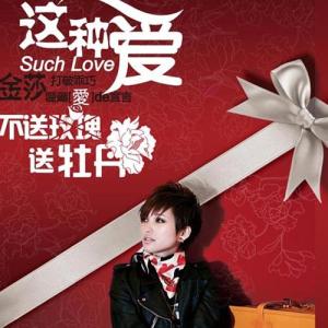 Dengarkan lagu 這種愛 nyanyian Kym Jin dengan lirik