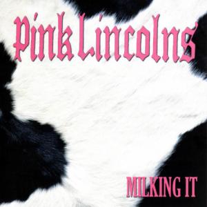 ดาวน์โหลดและฟังเพลง Ponytail (Explicit) พร้อมเนื้อเพลงจาก Pink Lincolns