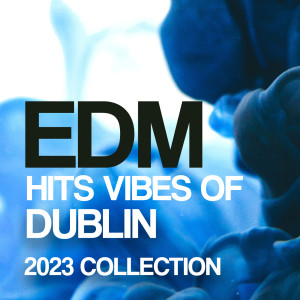 Album Edm Hits Vibes Of Dublin 2023 Collection oleh Various
