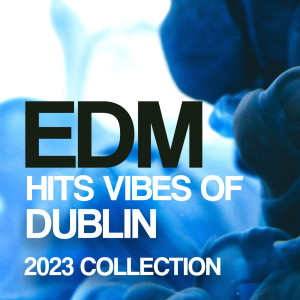 อัลบัม Edm Hits Vibes Of Dublin 2023 Collection ศิลปิน Various