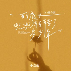 Listen to 到底又兜兜转转了多少年 (1.2x) song with lyrics from 小京东