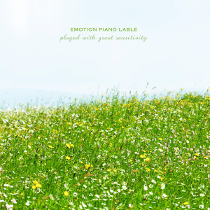 Listen to Your Way song with lyrics from Korea Various Artists