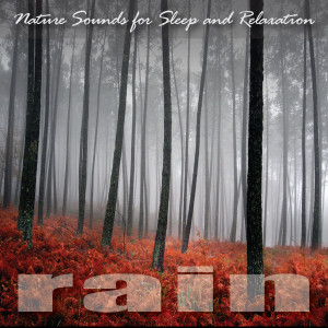 Nature Sounds for Sleep and Relaxation dari Rain