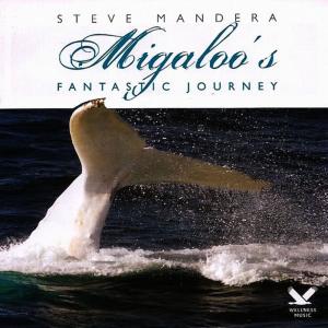 收聽Steve Mandera的The Human Race歌詞歌曲