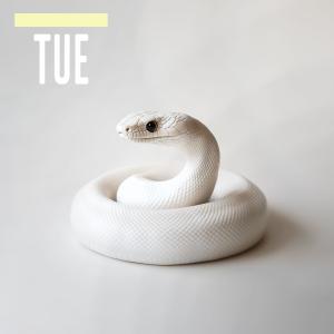收聽Vermeer的Inland Taipan (feat. Part Time Killer)歌詞歌曲