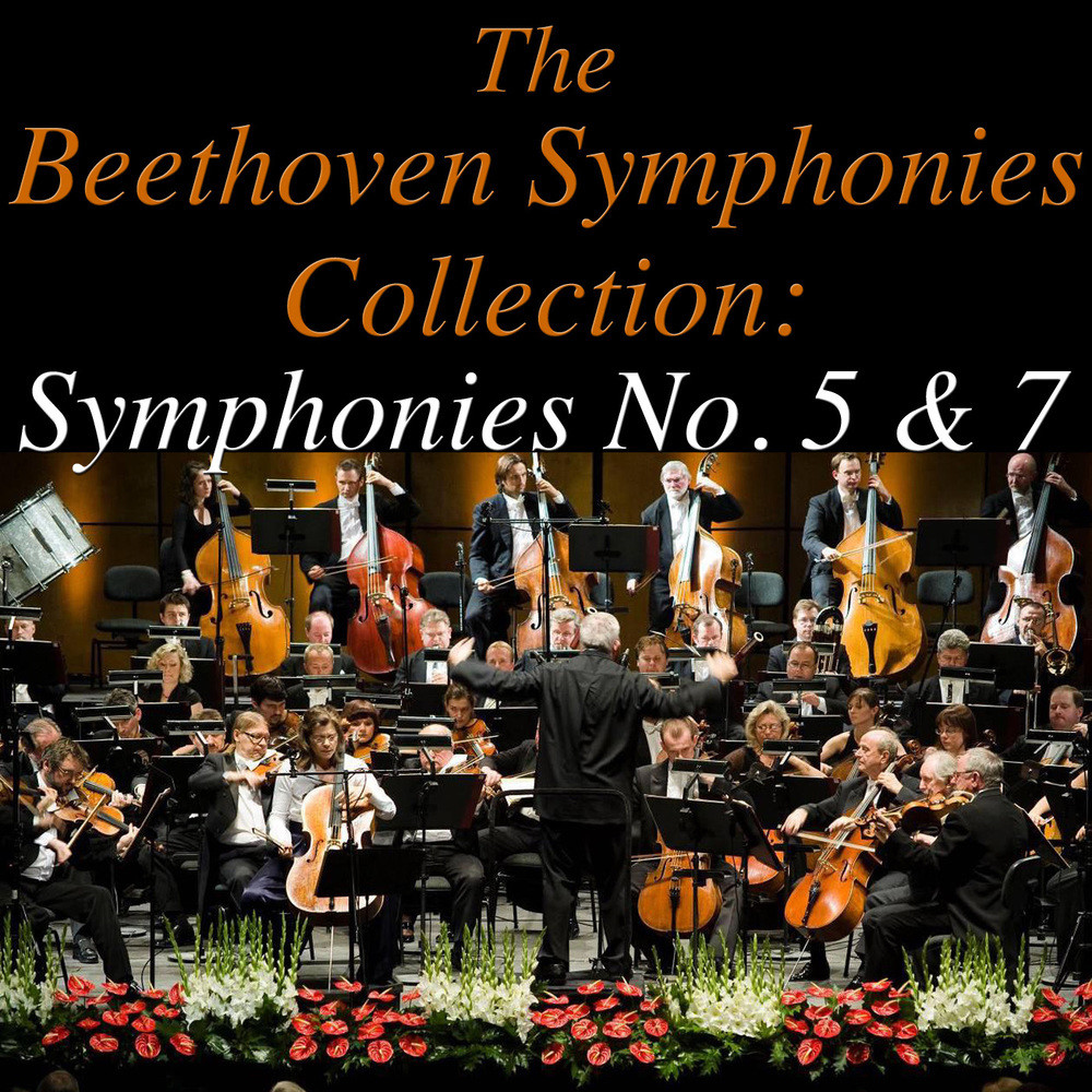 Symphony No. 5 In C Minor, Op. 67: Allegro Con Brio