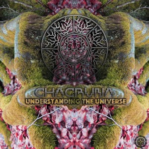 Album Understanding the Universe oleh Chacruna