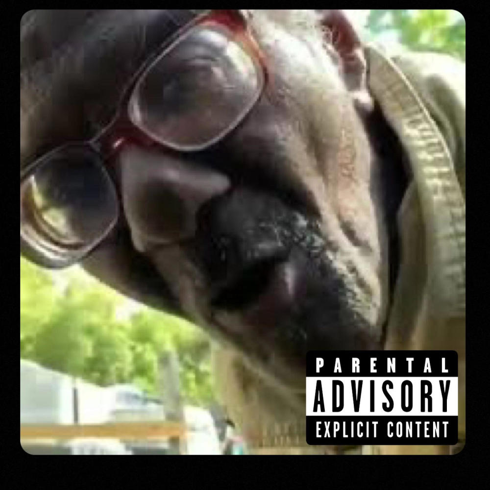 Stanley Earl (feat. Kony762) (Explicit)