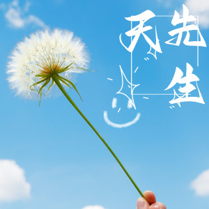 王應天的專輯天先生