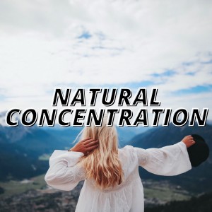 อัลบัม Natural Concentration ศิลปิน Various Artists