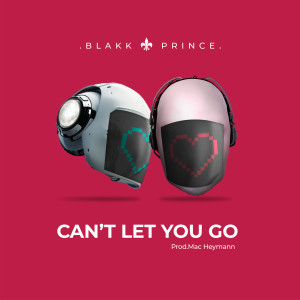Listen to Can't Let You Go song with lyrics from Blakk Prince