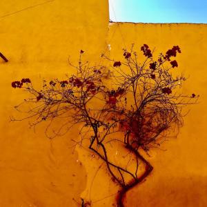 收聽Deep Sleep的Easy and Fast Sleep歌詞歌曲