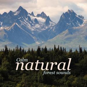 Natural Forest Sounds的專輯Calm Natural Forest Sounds