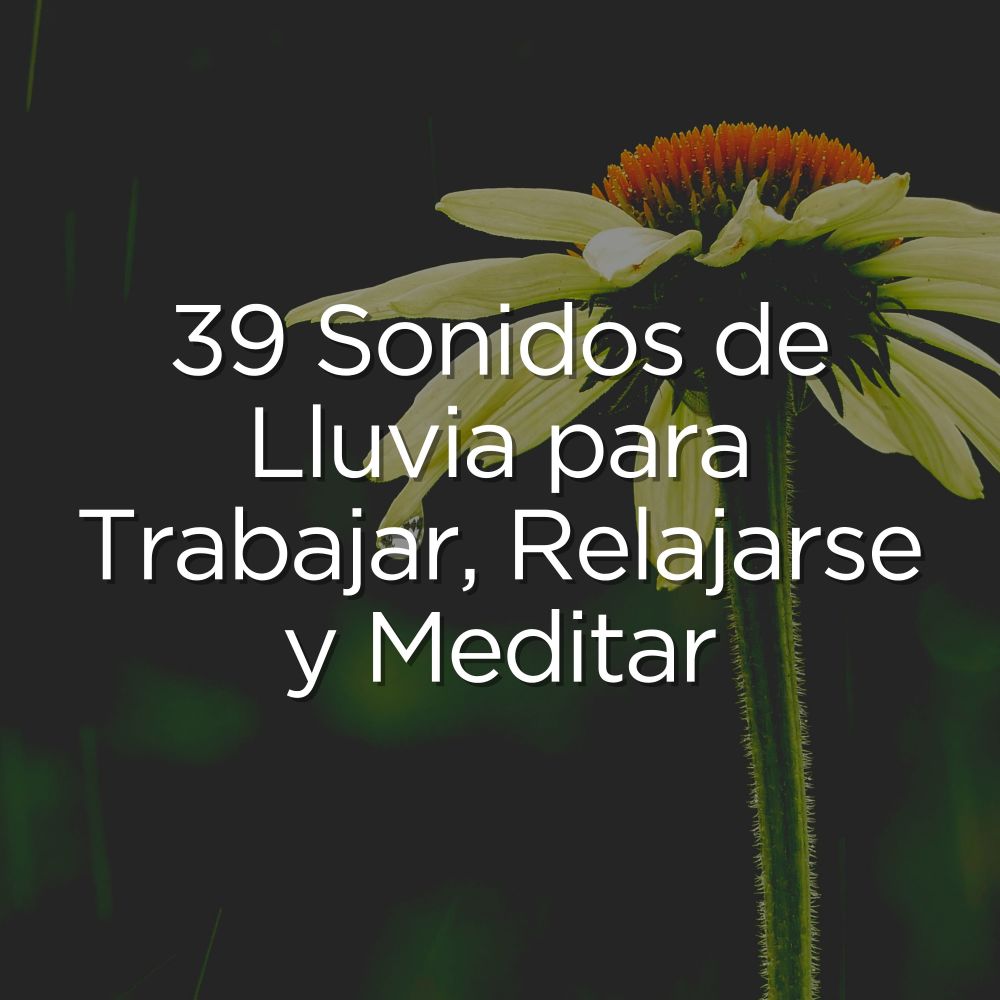 Sonidos de Lluvia, Pt. 12