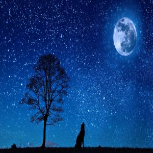 Listen to One More Night song with lyrics from John Dominick Alonzo