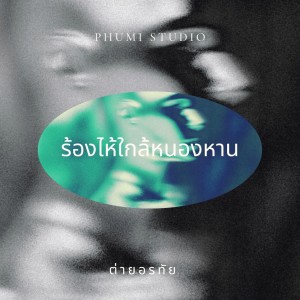 อัลบัม ร้องไห้ใกล้หนองหาน ศิลปิน ต่ายอรทัย