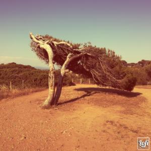 ดาวน์โหลดและฟังเพลง Amarante พร้อมเนื้อเพลงจาก Initial G