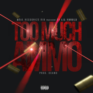 Too Much Ammo (Explicit) dari Real Recognize Rio