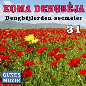 Album Dengbejlerden Seçmeler Vol. 31 from Koma Dengbeja