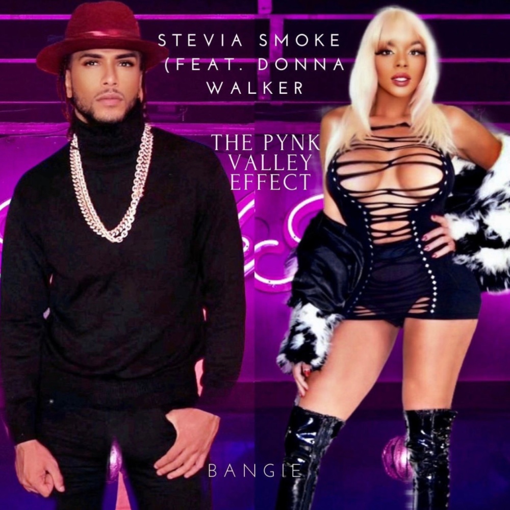 THE PYNK VALLEY EFFECT BANGIE (feat. DONNA WALKER)