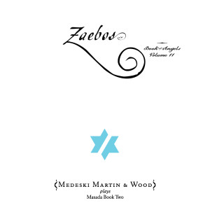 อัลบัม Zaebos: Book of Angels, Vol. 11 ศิลปิน John Zorn