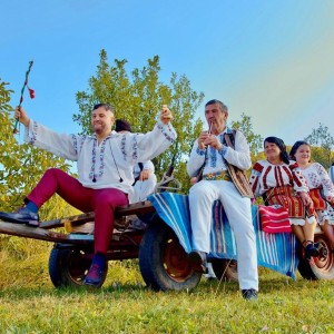 Listen to Femeia Frumoasa song with lyrics from Baboiash