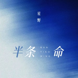 Album 半条命 from 星野