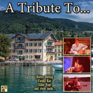 ดาวน์โหลดและฟังเพลง Sarah - Jane พร้อมเนื้อเพลงจาก Dieter Dornig