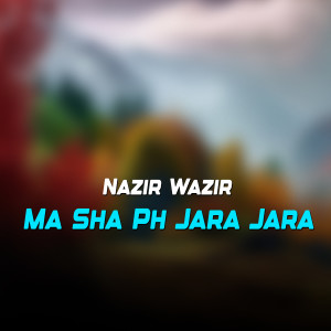Listen to Laliya Sar Da Laka Sarwa Wozangagi song with lyrics from Nazir Wazir