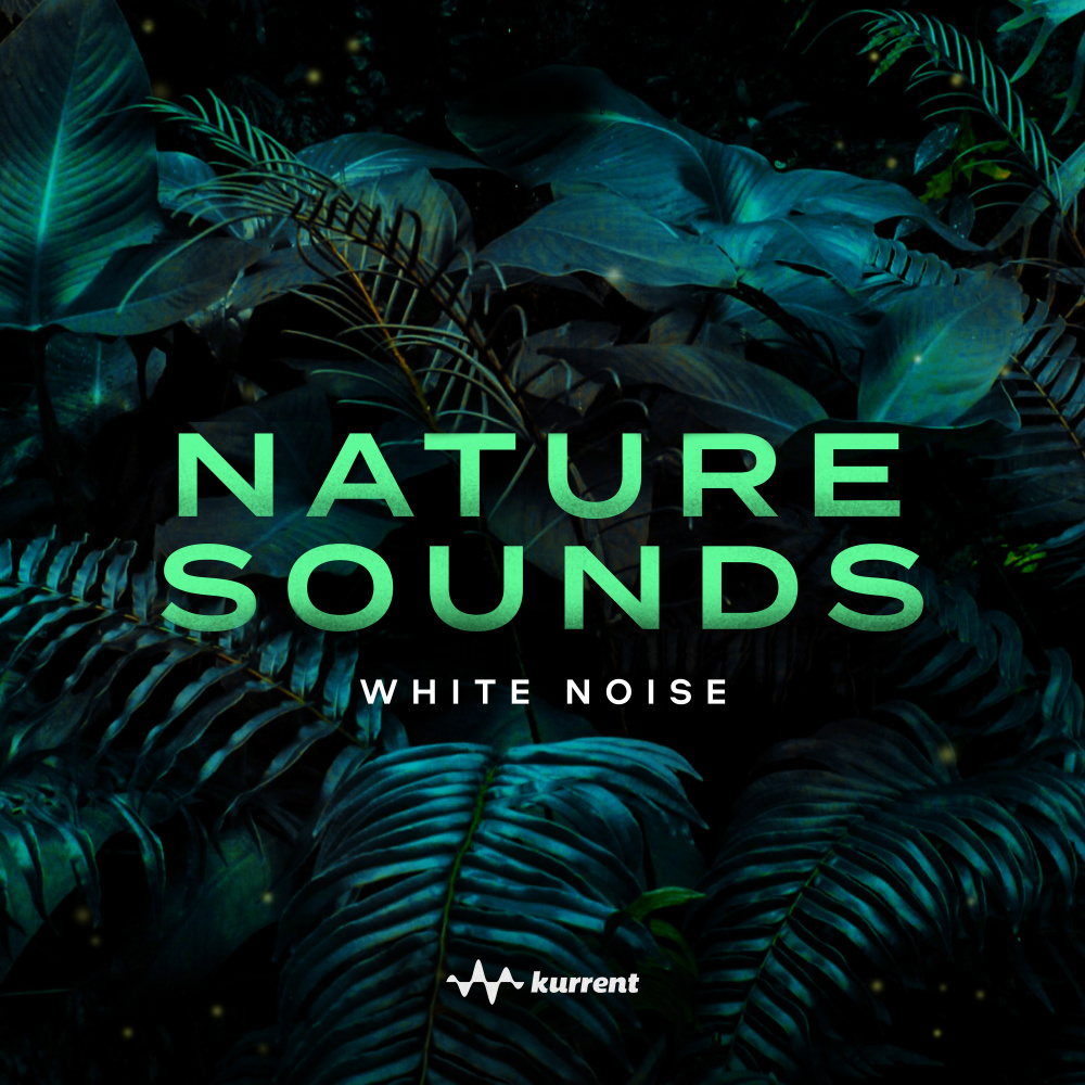 Wind + White Noise